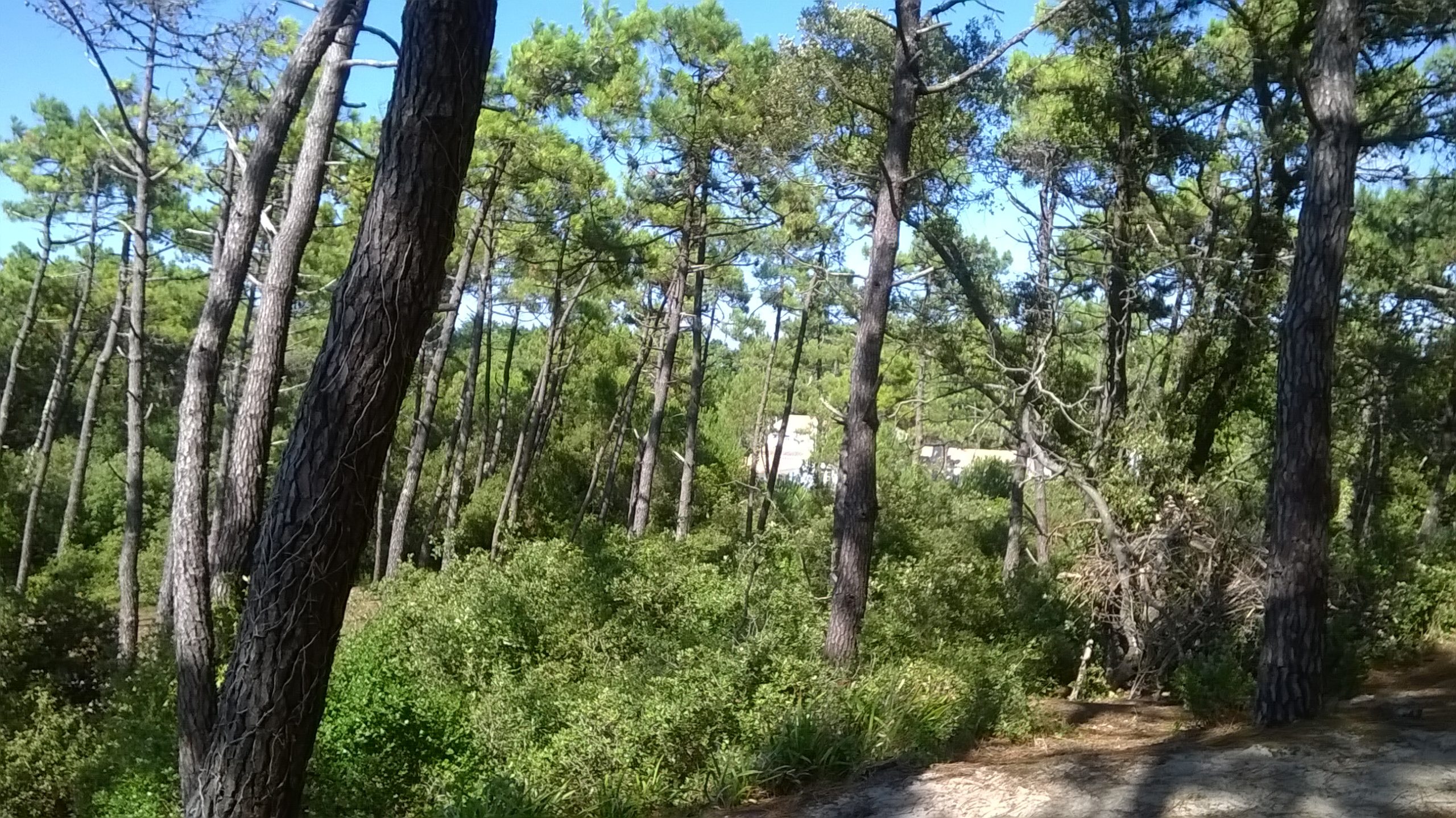 propriété noirmoutier