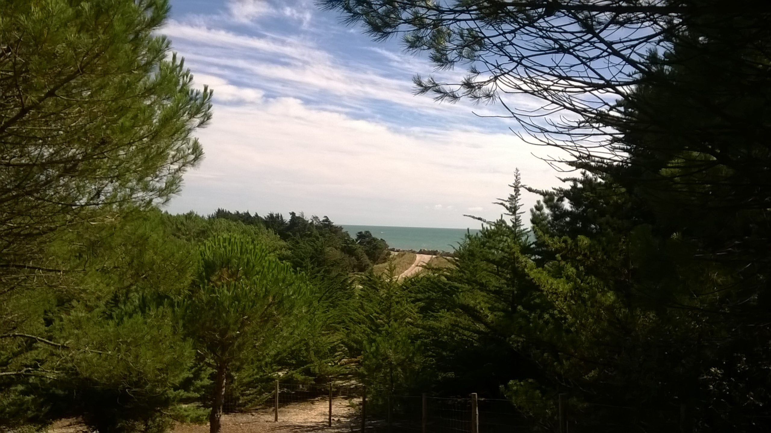 boix des éloux propriété noirmoutier